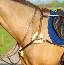 Mackey Classic 5-Point Breastplate