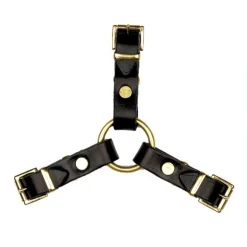 Mackey Classic T-Coupling