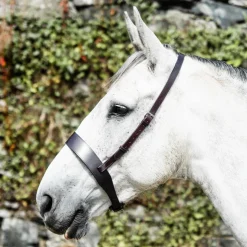Mackey Classic Wide Flat Cavesson Noseband