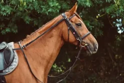 Mackey Equisential Anti-Grazing Reins