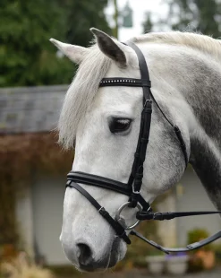 Mackey Equisential Bling Bridle