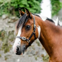 Mackey Equisential Leather Headcollar