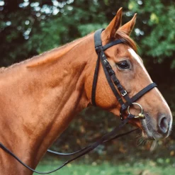 Mackey Equisential Nylon Rubber Grip Reins