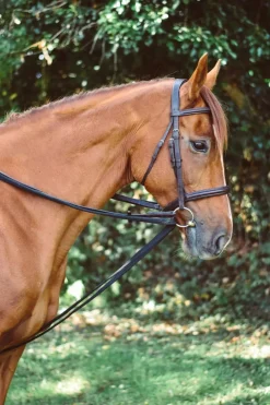 Mackey Equisential Padded Draw Reins
