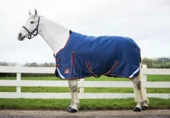 Mackey Keadeen Standard Neck Turnout Rug
