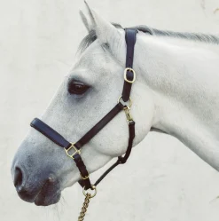 Mackey Legend Helios Leather Headcollar