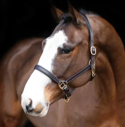 Mackey Legend Helios Leather Headcollar