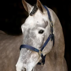 Mackey Safety Headcollar