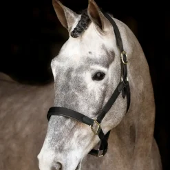 Mackey Safety Headcollar