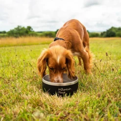 Mountain Paws Basecamp Dog Bowl