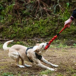 Mountain Paws Braided Chew Rope Dog Toy