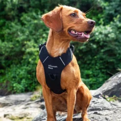 Mountain Paws Dog Harness