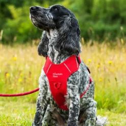 Mountain Paws Dog Harness