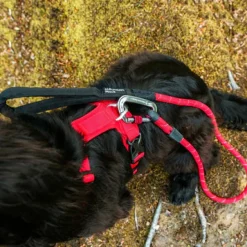 Mountain Paws Dog Harness