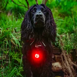 Mountain Paws Dog Safety Light