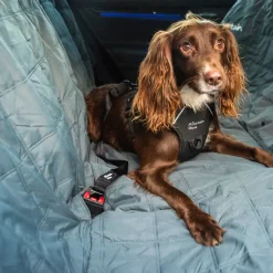 Mountain Paws Dog Seat Belt