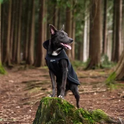 Mountain Paws Fleece Lined Dog Raincoat