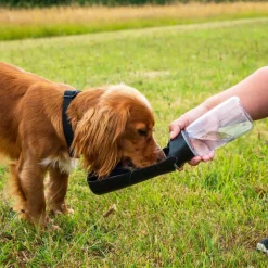 Mountain Paws Folding Dog Water Bottle