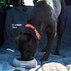 Mountain Paws Splashproof Dog Bowl