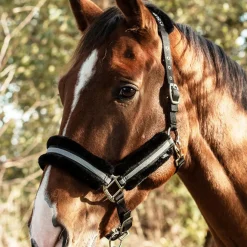 Mountain Horse Halter