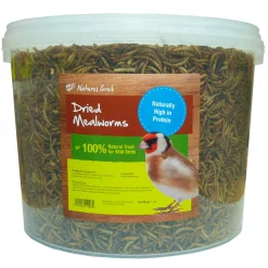 Natures Grub Dried Mealworms