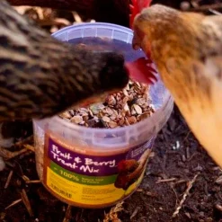 Natures Grub Fruit and Berry Poultry Treat Mix