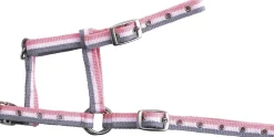 Norton Adjustable Foal Headcollar