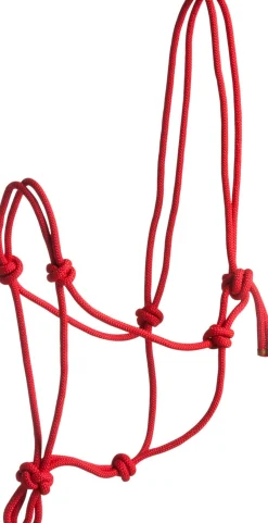 Norton First Rope Headcollar