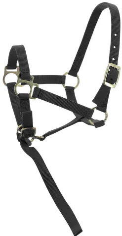 Norton Foal Headcollar Lead Rope