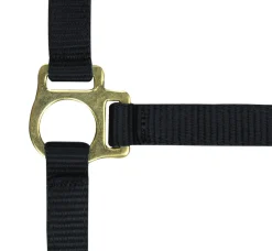 Norton Foal Headcollar Lead Rope