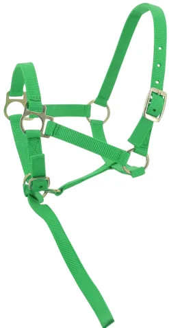 Norton Foal Headcollar Lead Rope