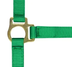 Norton Foal Headcollar Lead Rope