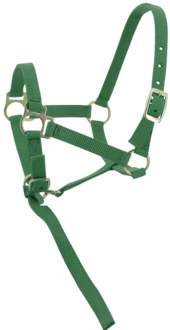 Norton Foal Headcollar Lead Rope