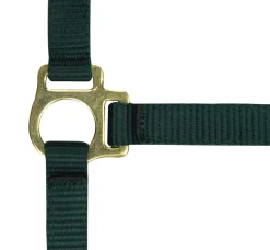 Norton Foal Headcollar Lead Rope