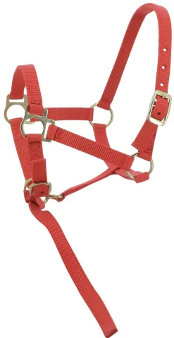 Norton Foal Headcollar Lead Rope