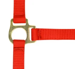 Norton Foal Headcollar Lead Rope
