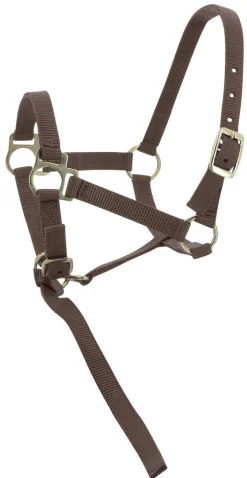 Norton Foal Headcollar Lead Rope
