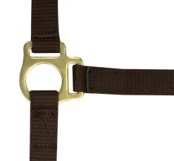 Norton Foal Headcollar Lead Rope