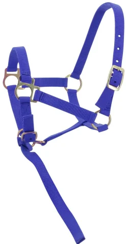 Norton Foal Headcollar Lead Rope
