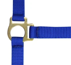 Norton Foal Headcollar Lead Rope