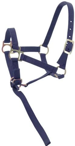 Norton Foal Headcollar Lead Rope