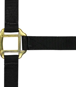 Norton Leather Lined Nylon Headcollar