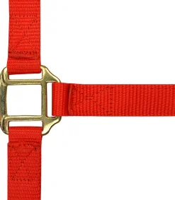 Norton Leather Lined Nylon Headcollar