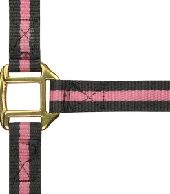 Norton Leather Lined Nylon Headcollar