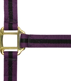 Norton Leather Lined Nylon Headcollar