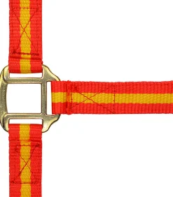 Norton Leather Lined Nylon Headcollar