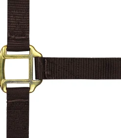 Norton Leather Lined Nylon Headcollar