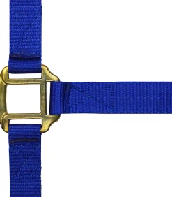 Norton Leather Lined Nylon Headcollar