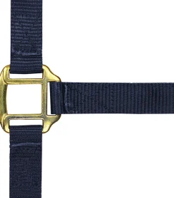 Norton Leather Lined Nylon Headcollar