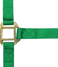 Norton Leather Lined Nylon Headcollar